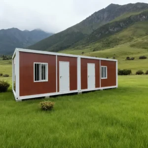 image_Pippit_202511191036