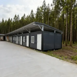 image_Pippit_202511191151