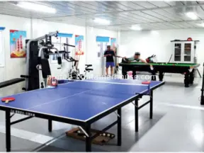 Multi-purpose recreation space inside a flat pack modular house, highlighting the versatility of flat pack container homes